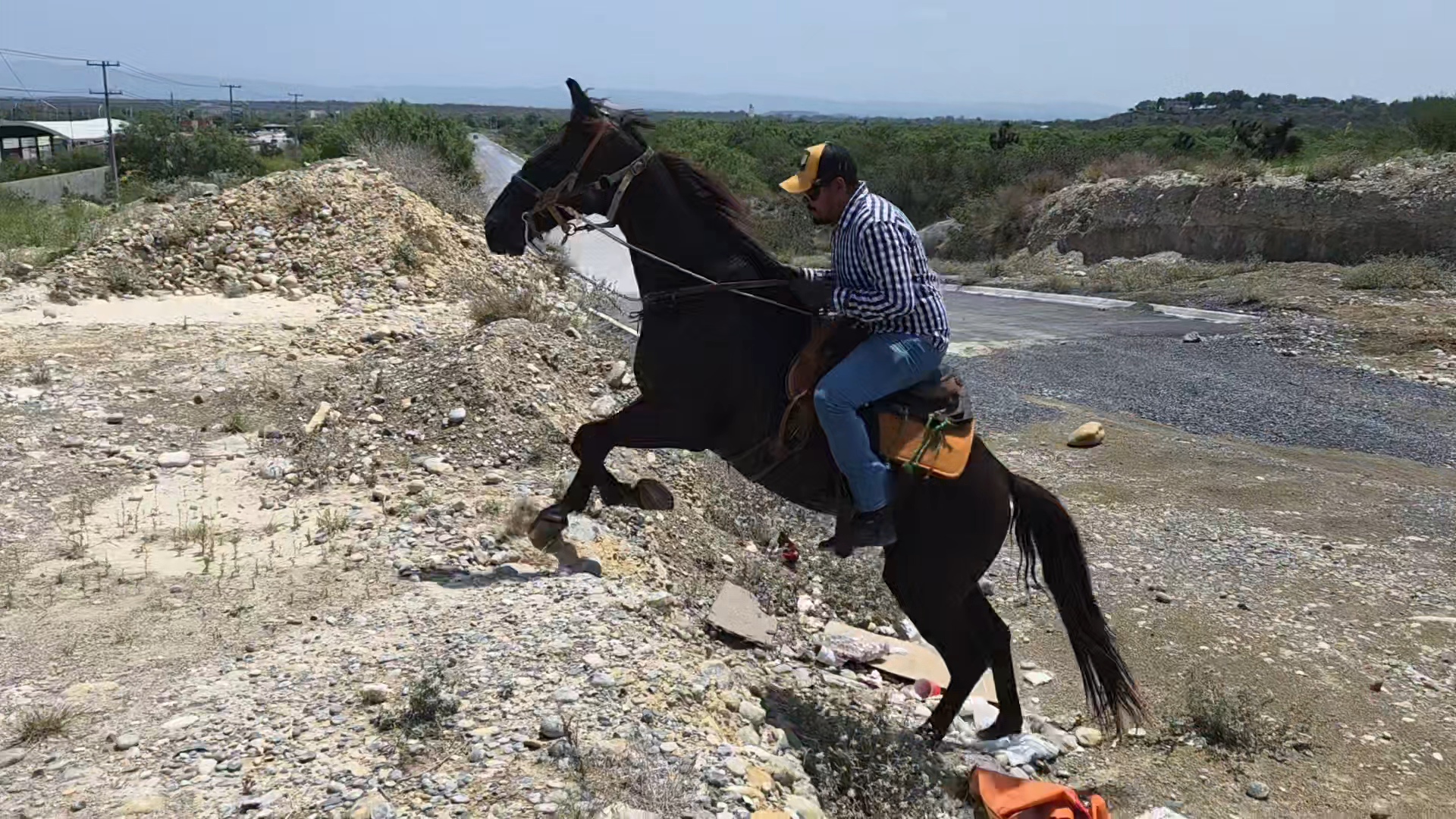 Galope en campo traviesa