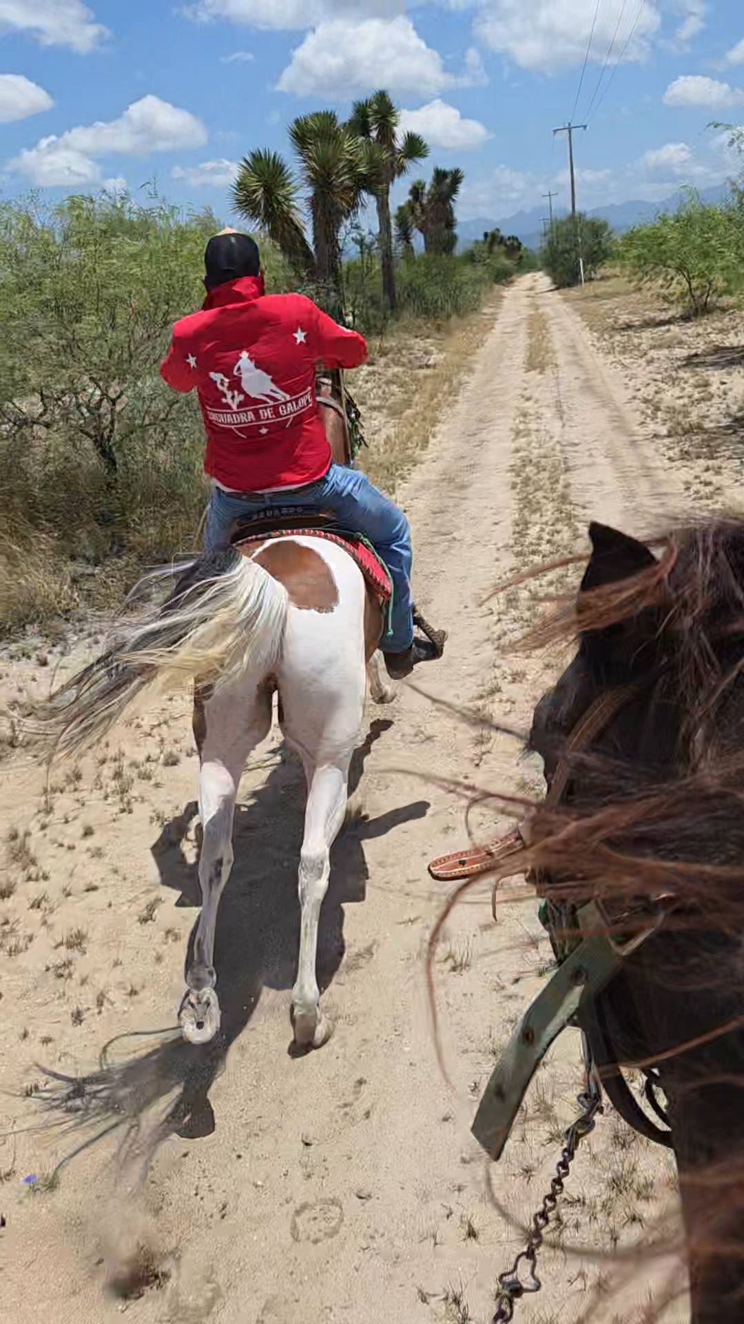 Cabalgata en el desierto