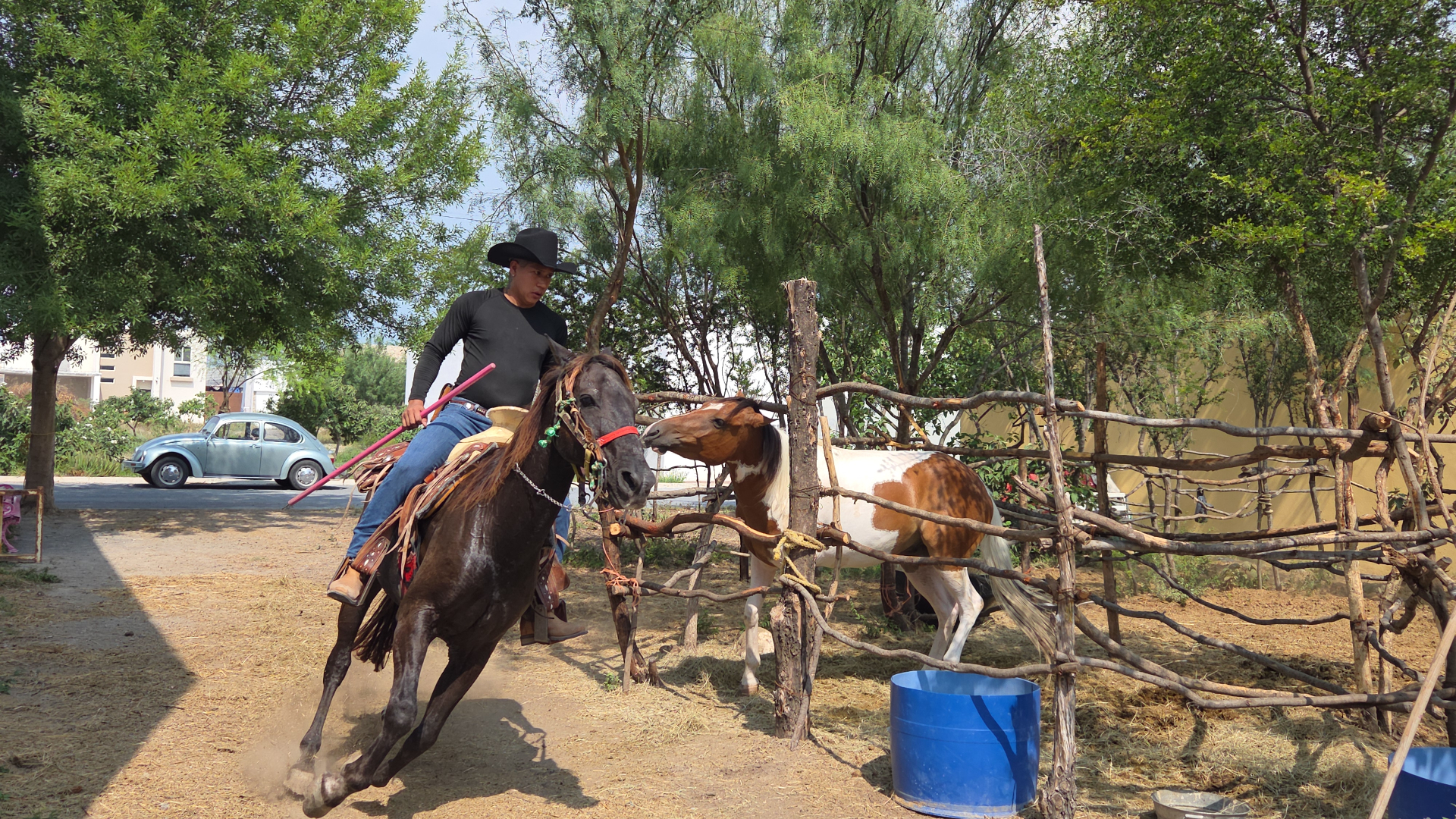 Jinete llanero
