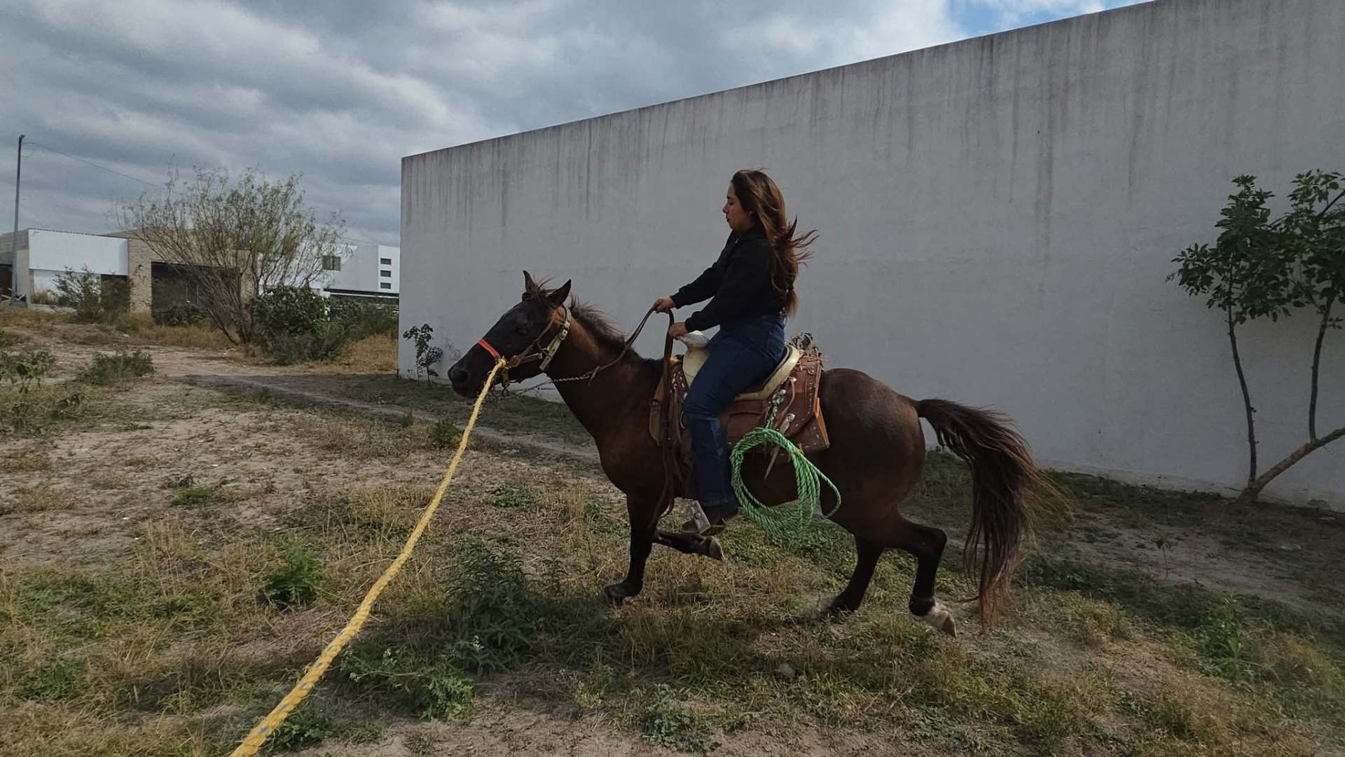 Jinete en trote guiado